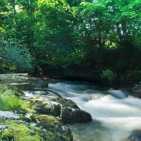 Apartamentos La Corona - Cabrales Carrena de Cabrales Kültér fotó